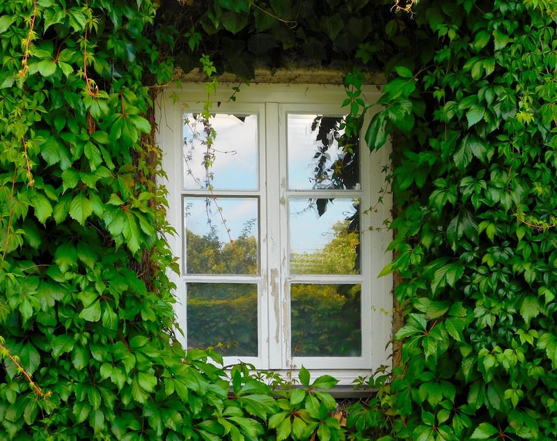 Vertical Garden